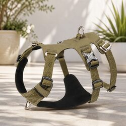 Escape-Proof Dog Harness: A Practical Solution for Outdoor Fun