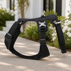 Ideal Dog Harness for Active Lifestyles and Everyday Use