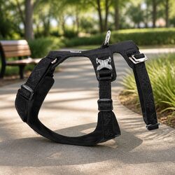 Practical Dog Harness for Secure Outdoor Activities