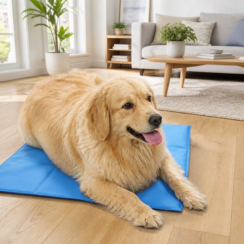 Pet Cooling Cushion for Summer Adventures