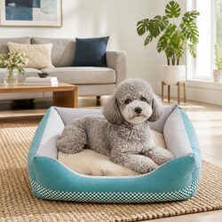 Practical Dog Bed for Daily Use and Easy Maintenance