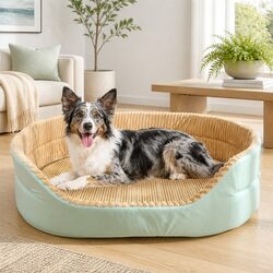 Versatile Pet Bed for Any Home Environment