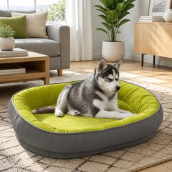 Practical Dog Bed Perfect for Everyday Use