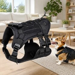 Practical Black Dog Vest with Poop Bag for Everyday Use