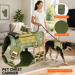 The Perfect Dog Harness for Everyday Use and Outdoor Fun