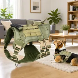 Puppy Harness Set - Ideal for Daily Walks and Adventure