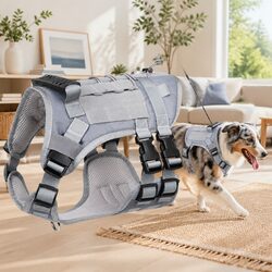 Practical Dog Harness for Everyday Use and Travel