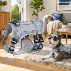 Practical Vest Harness for Your Active Pet