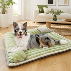 Practical and Comfortable Green Velvet Dog Bed for Your Home