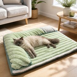 Practical Detachable Green Velvet Dog Bed for Everyday Use