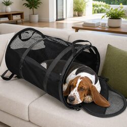 Practical Pet Carrier Bag for Multiple Uses