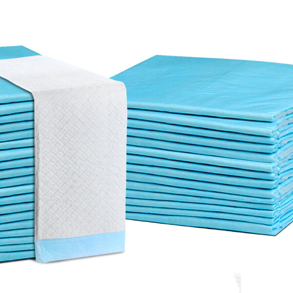 Pet Training Pads 400 Pack 60x60cm Super Absorbent Leakproof Odour Neutralising