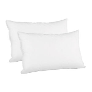 Duck Feather Down Pillow Twin Pack 1kg Filling 100% Cotton Shell Hypoallergenic