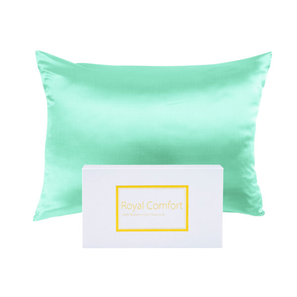 Mulberry Soft Silk Hypoallergenic Pillowcase Twin Pack 51 x 76cm - Mint