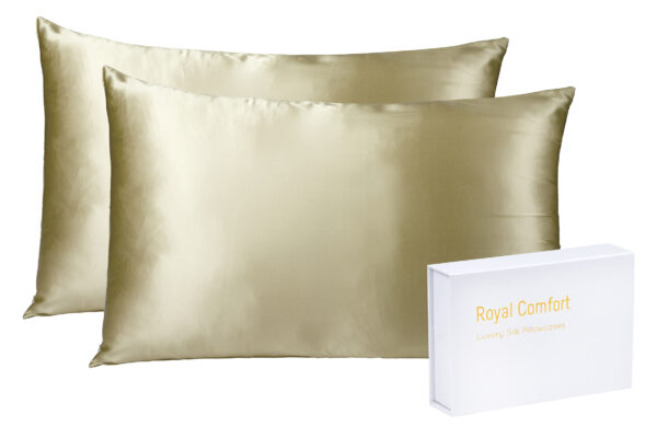 Mulberry Soft Silk Hypoallergenic Pillowcase Twin Pack 51 x 76cm - Champagne