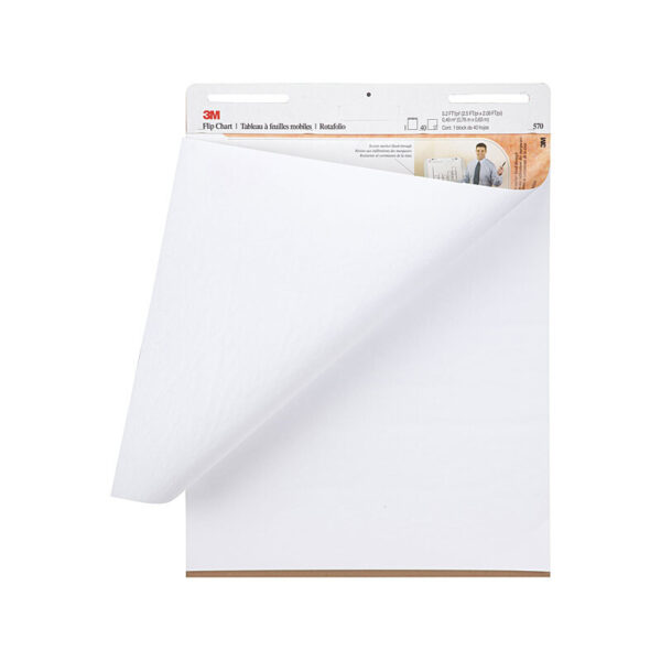 570 Flip Chart 635x762 Box of 2