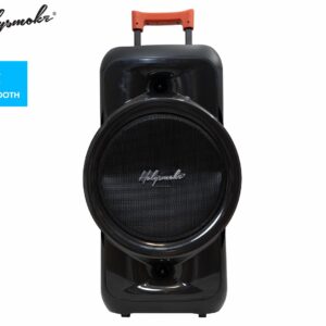 Raphe Bluetooth TWS Party Speaker 12" Portable