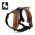 Reflective Heavy Duty Harness Orange S