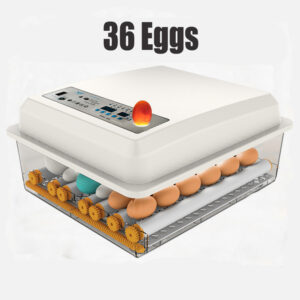 36 Egg Incubator Fully Automatic Digital Thermostat Chicken Eggs Poultry