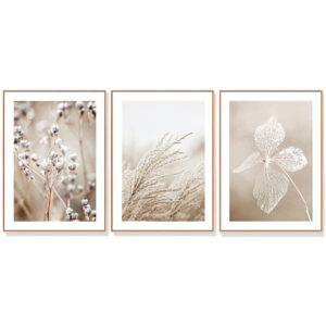 Wall Art 40cmx60cm Dried Flower 3 Sets Wood Frame Canvas