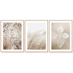 Wall Art 50cmx70cm Dried Flower 3 Sets Wood Frame Canvas