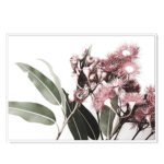 Wall Art 50cmx70cm Eucalyptus in Bloom White Frame Canvas