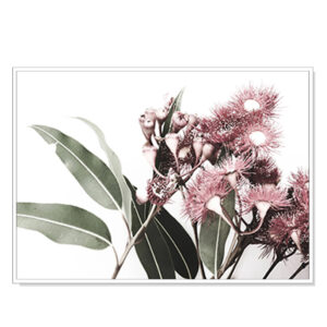 Wall Art 70cmx100cm Eucalyptus in Bloom White Frame Canvas