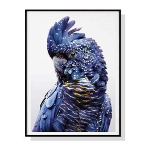 Wall Art 60cmx90cm Black Cockatoo A Black Frame Canvas