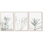 Wall Art 40cmx60cm Lavender Eucalyptus 3 Sets Wood Frame Canvas