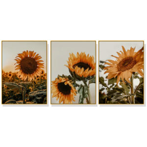 Wall Art 70cmx100cm Sunflower 3 Sets Gold Frame Canvas