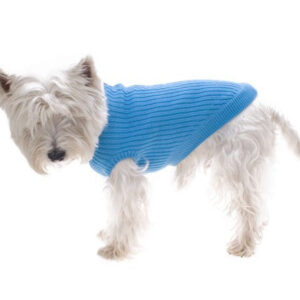 Blue Dog Jumper 35cm