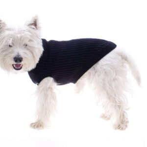 Black Dog Jumper 35cm