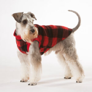 Red Check Dog Pyjamas 35cm