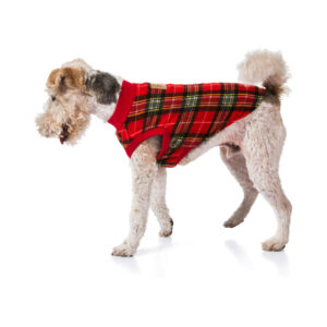 Red Tartan Dog Pyjamas 35cm