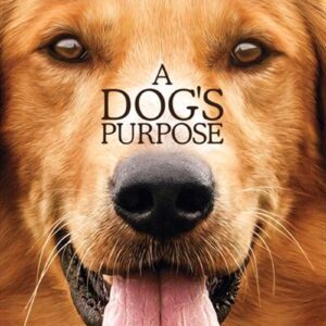 A Dogs Purpose DVD