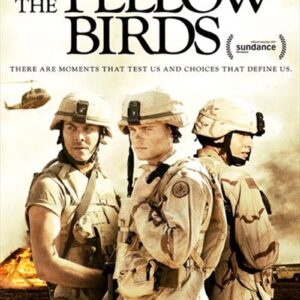 Yellow Birds  The DVD