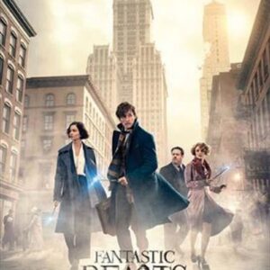 Fantastic Beasts - New York Street Poster