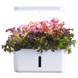 8 Pod Indoor Hydroponic Growing System  with Water Level Window & Pump  White