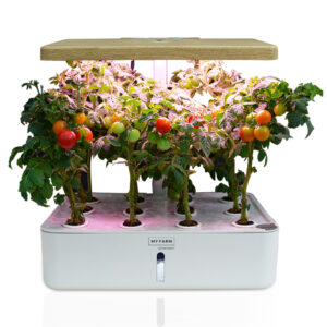 12 Pod Indoor Hydroponic Growing System  with Water Level Window & Pump  White