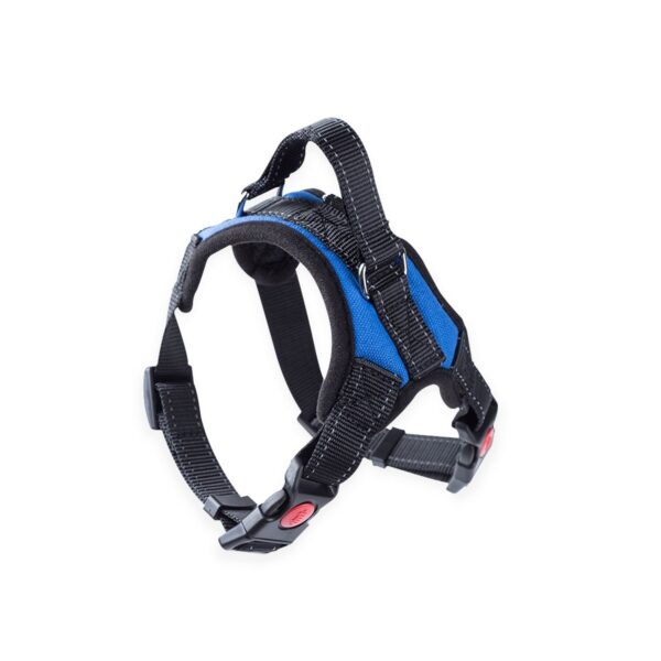 Dog Harness M Size (Blue) FI-PC-151-XL