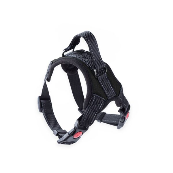 Dog Harness M Size (Black) FI-PC-153-XL