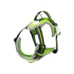 Dog Harness Vest M Size (Green) FI-PC-170-XL