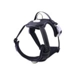 Dog Harness Vest M Size (Black) FI-PC-167-XL