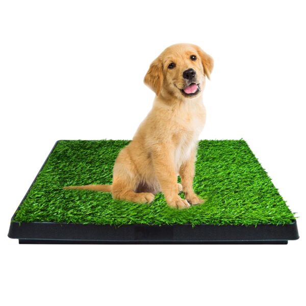 Pet Grass Training Potty PT-LM-109-FE / PT-LM-109-JL