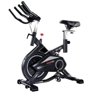 RX-900 Exercise  Bike Cardio Cycling - Silver