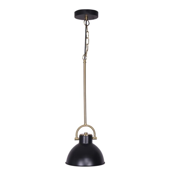 Black and Gold Pendant Light