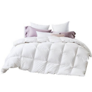 80% Goose Down 20% Goose Feather Quilt - Queen