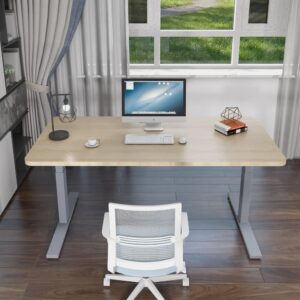 120cm Standing Desk Height Adjustable Sit Grey Stand Motorised Single Motor Frame Birch Top