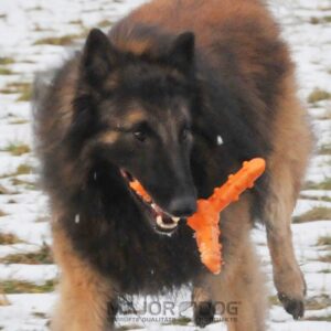 Major Dog Whirl Fetch Toy - Large