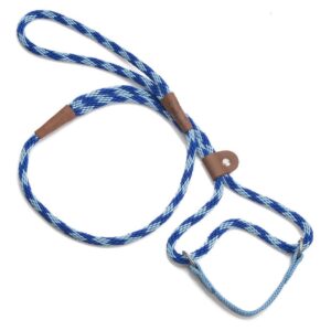 Mendota Clip Leash Large - lengths 1/2in x 6ft(13mm x1.8m) Made in the USA - Diamond Sandstone